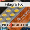 Filagra FXT 42